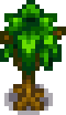 Maple Stage 4.png
