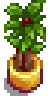 House Plant 10.png