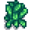 Kale