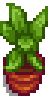 House Plant 14.png