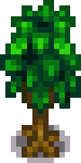 Wild Tree Stage 4.png