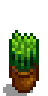 House Plant 3.png
