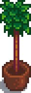 Topiary Tree.png