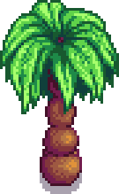 Palm Stage 3.png