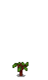 Pomegranate Stage 1.png
