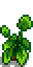 House Plant 13.png
