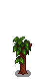Pomegranate Stage 3.png
