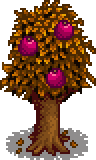Pomegranate Stage 5 Fruit.png