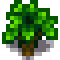 Maple Stage 3.png