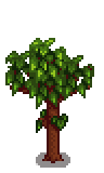 Pomegranate Stage 4.png