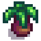 Palm Stage 1.png