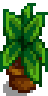 House Plant 15.png