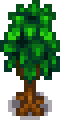 Oak Stage 4.png